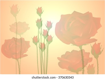 red rose. Vector illustration