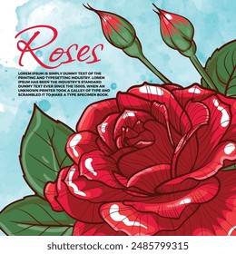 Red rose vector illustration with bloomed flower and flower buds on a light blue watercolor background. Template with text and hand drawn flower for visual or card design.