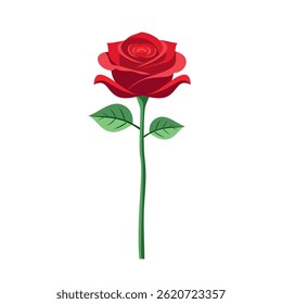 red rose vector illustration flat design