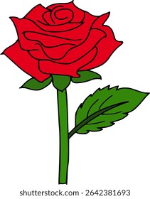 Red Rose vector illustration image 