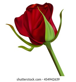 Red rose. Vector illustration isolated on white background