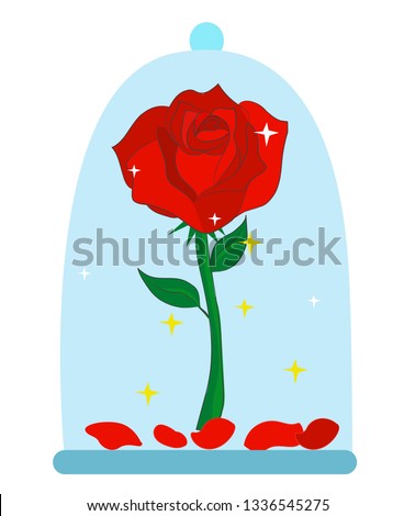 Red rose vector illustration. Le petit prince
