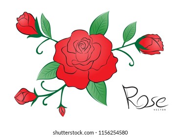 Red rose vector illustration. vintage flower style on white background for valentines day card, fabric, wedding card, printing, banner, greeting card, website.