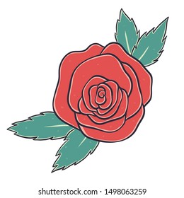 Red rose vector illustration. Vintage flower style on white background.