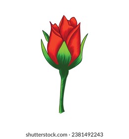  red rose vector isolated on white background