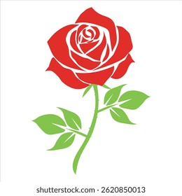 Red rose vector on a white background