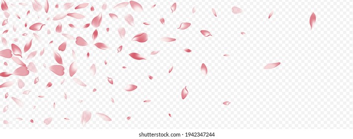 Red Rose Vector Panoramic Transparent Background. Cherry Invitation Texture. Apple Fly Card. Peach Down Congratulation. Bright Leaf Romantic Poster.