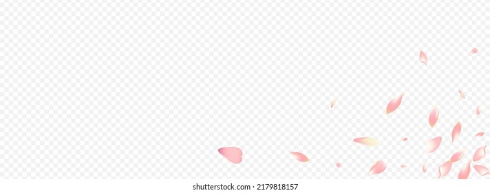 Fondo Panorámico Transparente del Vector Rojo Rosa. Tarjeta floral de Japón. Diseño de la boda de cerezos. Cubierta para el matrimonio de hojas. Ilustración del cielo del árbol de color.