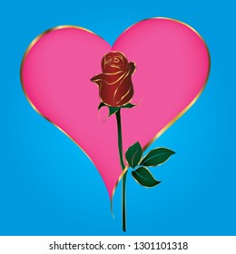 Red rose vector  For Valentine's Day.