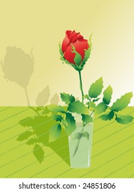 Red rose in water
