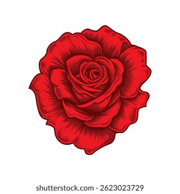 A red rose with a white background, The rose is drawn in a stylized way, The stem is not visible.