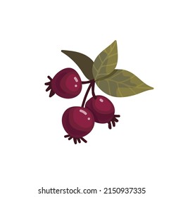 Rosship-Beeren.Cartoon-Vektorgrafik.