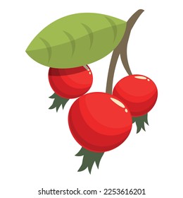 Vector de caricatura de icono de cadera roja. Berry de comida. Vitamina madura