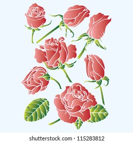 red roses