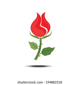 Red roses