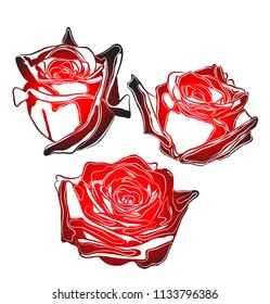 red roses background