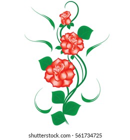 Red Roses branch with leaves bud isolated on white background art creative vector element for design