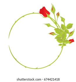 Red roses. Buds. Round flower frame. Floral background. leaves. Spines