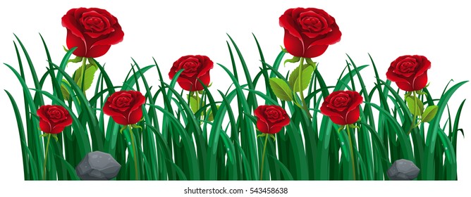 Red roses in the bush illustration
