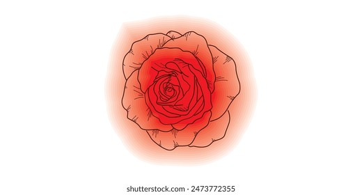 Red roses, red roses are certainly no stranger to you.
