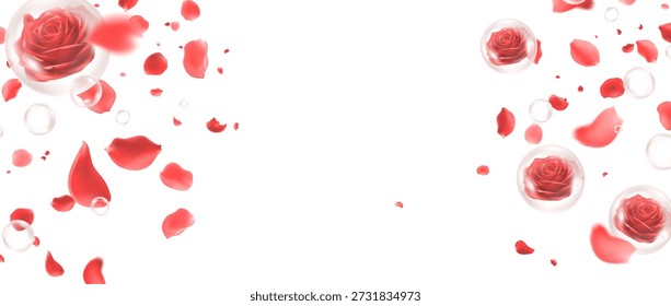 Rote Rosen in klaren Blasen mit fallenden Blütenblättern auf weißem Hintergrund romantisches horizontales Banner für Valentinstag Hochzeit Jubiläum und Schönheit Produkt Verkauf Förderung mit Kopienraum Vektor