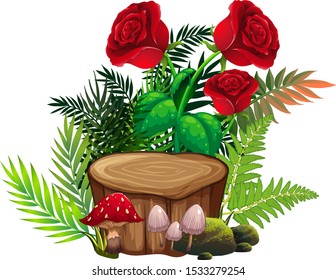 Red roses and ferns on white background illustration