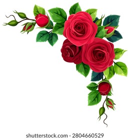 Red roses. Floral corner border with red rose flowers and green leaves isolated on white. Vector floral design element. Hand-drawn illustration, not AI