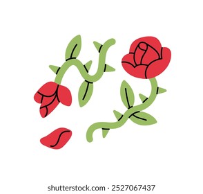 Rosas vermelhas com folhas verdes e espinhos afiados no caule. Flor desbotada com pétalas caídas. Plantas selvagens com brotos floridos no broto. Símbolo de amor, paixão. Ilustração de vetor isolado plano em branco