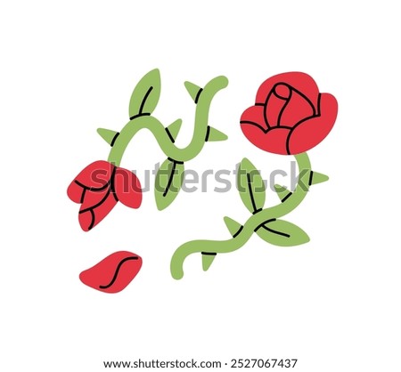 Red roses with green leaves and sharp thorns on stem. Faded flower with fallen petals. Wild plants with blossoming buds on sprout. Symbol of love, passion. Flat isolated vector illustration on white