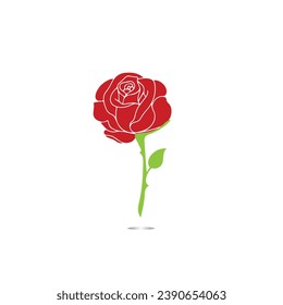 Red roses hand drawn, Black line rose flowers inflorescence silhouettes isolated on white background. Icon roses collection. Vector doodle illustration.