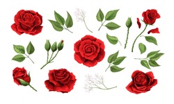 Red Roses Hand Drawn Color Set. Black Line Rose Flowers Isolated On White Background. Vector Colored Elements Illustration For Happy Valentines Day Postcards.