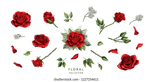 Red roses hand drawn color set. Black line rose flowers isolated on white background. Vector colored elements illustration for happy Valentines day postcards.