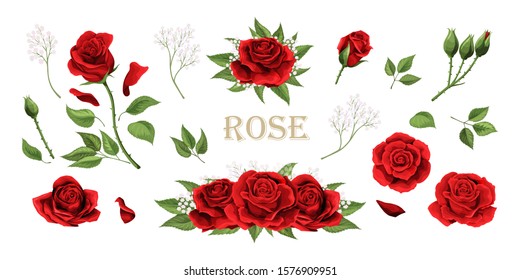 Red roses hand drawn color set. Black line rose flowers isolated on white background. Vector colored elements illustration for happy Valentines day postcards.