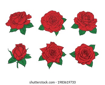 Red roses hand drawn color set. Red rose buds and green leaves collection. Vector illustration isolated on white background.