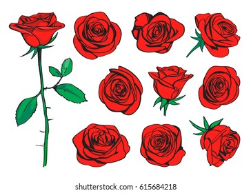 Red roses hand drawn color set. Black line rose flowers inflorescence silhouettes isolated on white background. Icon roses collection. Vector doodle illustration.
