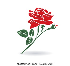 Red roses hand drawn color.illustration.