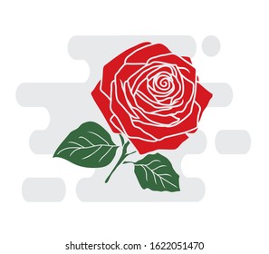  Red roses hand drawn color.Vector illustration.
