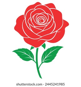 Red roses isolated on white background