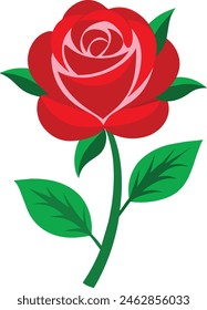 Rosas rojas aisladas sobre fondo blanco