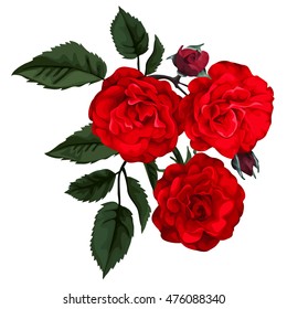 Red roses isolated on white. Perfect for background greeting cards and invitations of the wedding, birthday, Valentine's Day, Mother's Day.