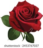 Red Roses Love Romance Transparent