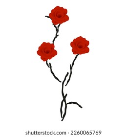 Red roses on black branches isolated on white background.