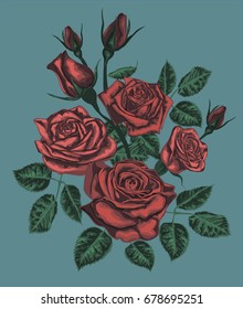 Red roses on blue background - vector