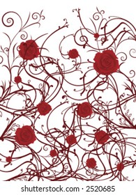 Red roses on a vine on white background