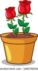 rote Rosen auf weißem Hintergrund, Vektorgrafik