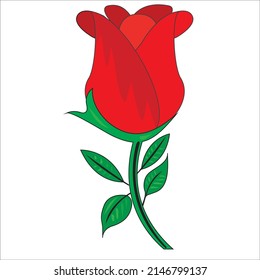 Red roses on a white background