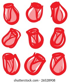 Red roses on white background. Vector illustration.