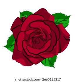 Rosas rojas sobre un fondo blanco
