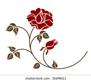 red roses on the white background.