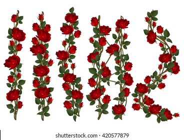 red roses on white background,flower are blooming